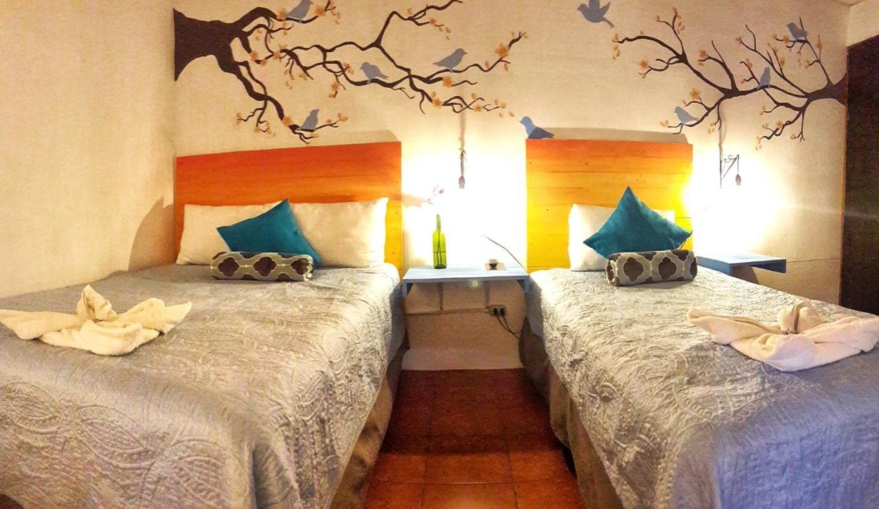Hotel Y Arte Norte Antigua Ngoại thất bức ảnh
