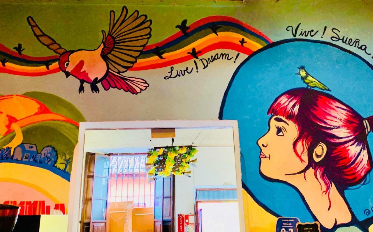 Hotel Y Arte Norte Antigua Ngoại thất bức ảnh
